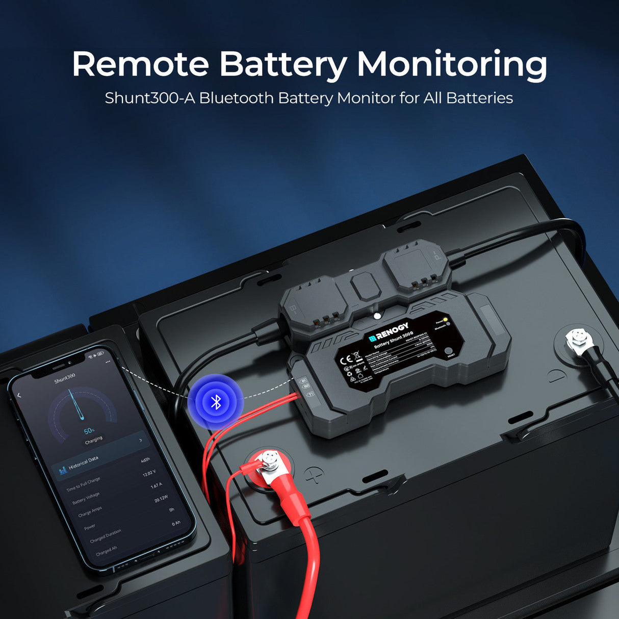 RENOGY Shunt de batterie 300