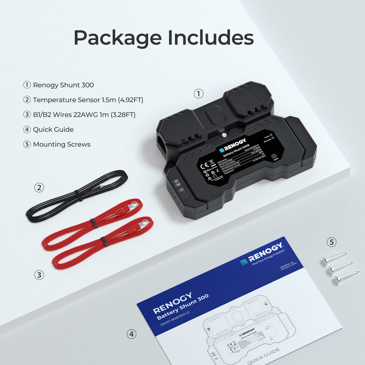 RENOGY Shunt de batterie 300