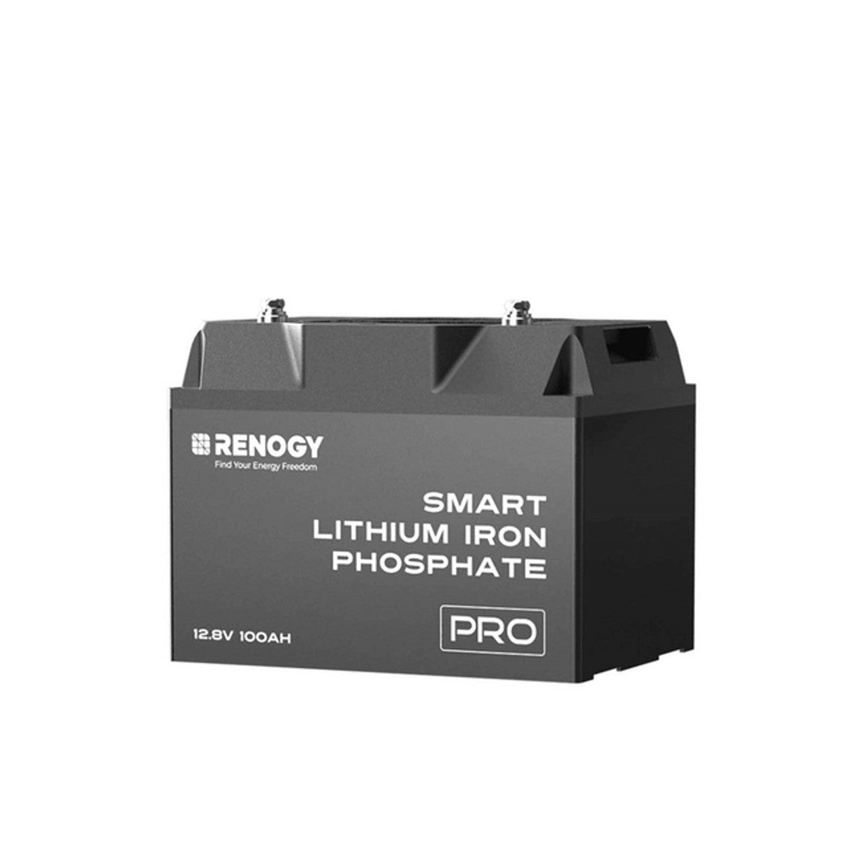 Renogy 12V 100Ah LiFePO4 Core Mini Pro Batterij – Zelfverwarmend met Bluetooth