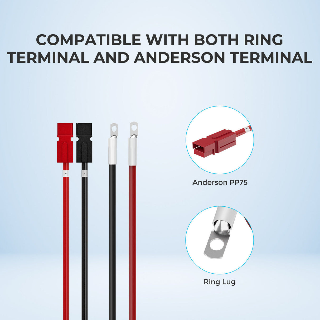 Renogy Câble adaptateur Anderson 3 m 6 AWG (Anderson PP75 - cosse à anneau)