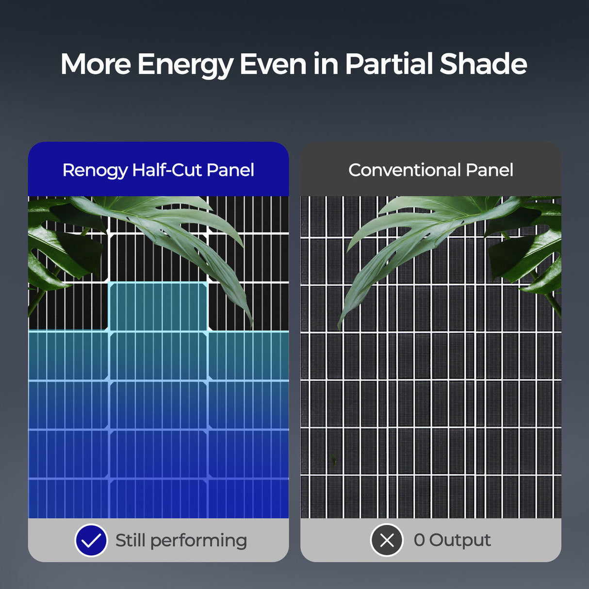 Panneau solaire monocristallin bifacial 115 Watt 12 Volts