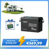 Renogy Core Mini 12,8V 200Ah LiFePO4 Batterij met Lage-Temperatuur