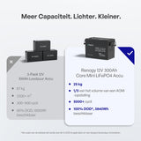 Core Mini – 12,8V 300Ah LiFePO4 Accu met Laagtemperatuurbescherming voor Camper & Caravan