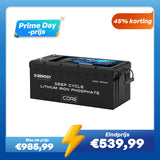 Renogy 12V 300Ah Core Series LiFePO4 Accu – Zelfverwarmend (Nieuwe Versie)