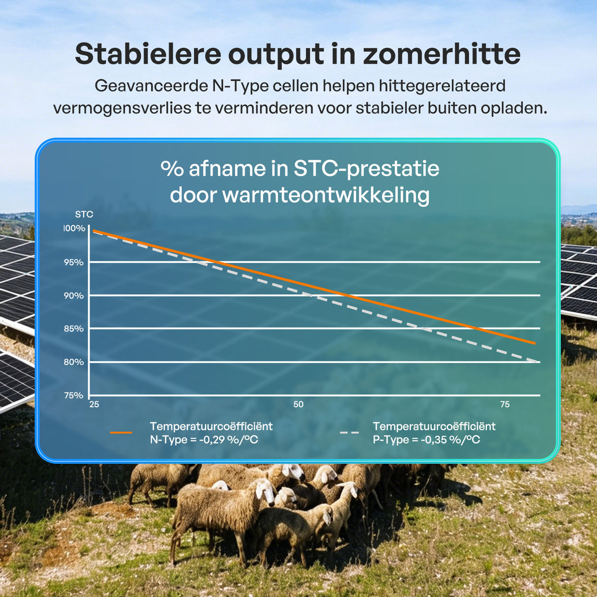 400W Bifaciale Zonnepanele N-Type (2-pack)